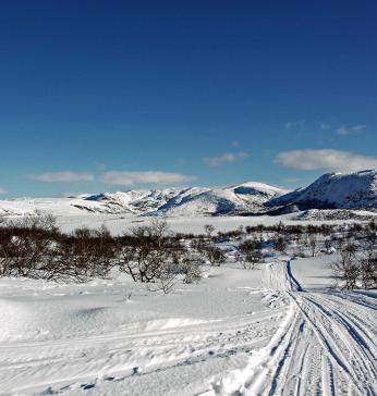 Området rundt Sandvatnet er fantastisk.